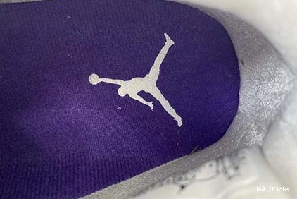 7591 518 CT8527- Jordan “Court Resilient 4 Purple” Air 1003